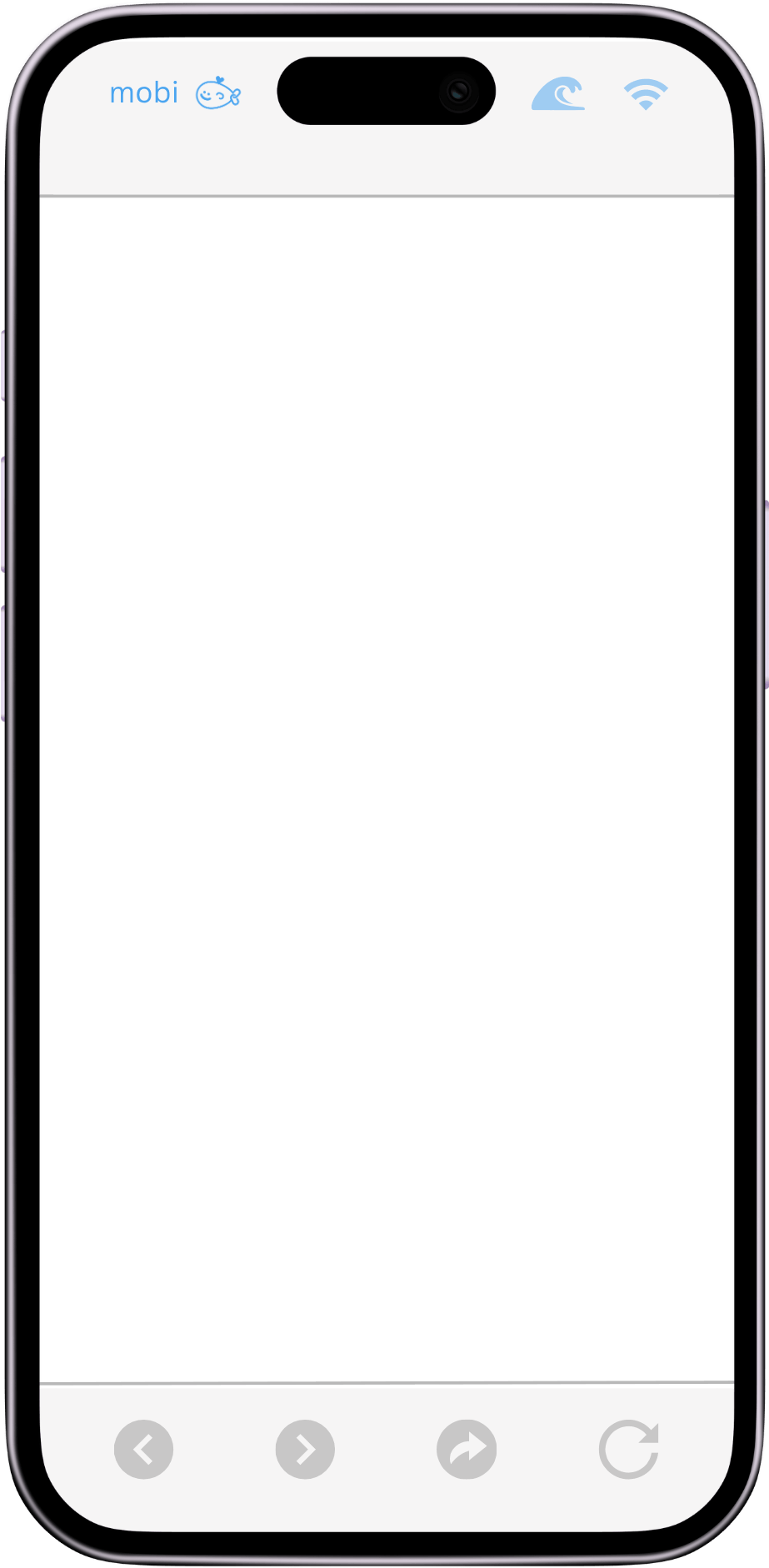 Phone case overlay