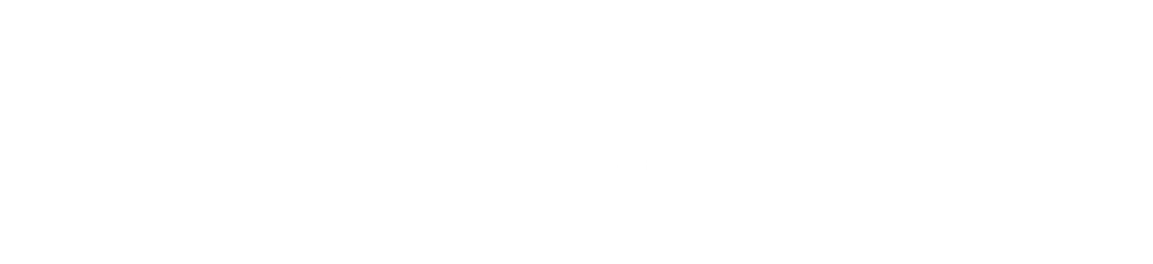 Mobi logo with name and whale mascot